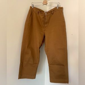 Tan Straight-Leg Everlane Pants